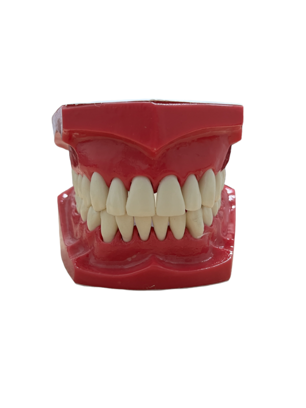 MACROMODELO CON PIEZAS DESMONTABLES