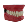 MACROMODELO CON PIEZAS DESMONTABLES - Imagen 3
