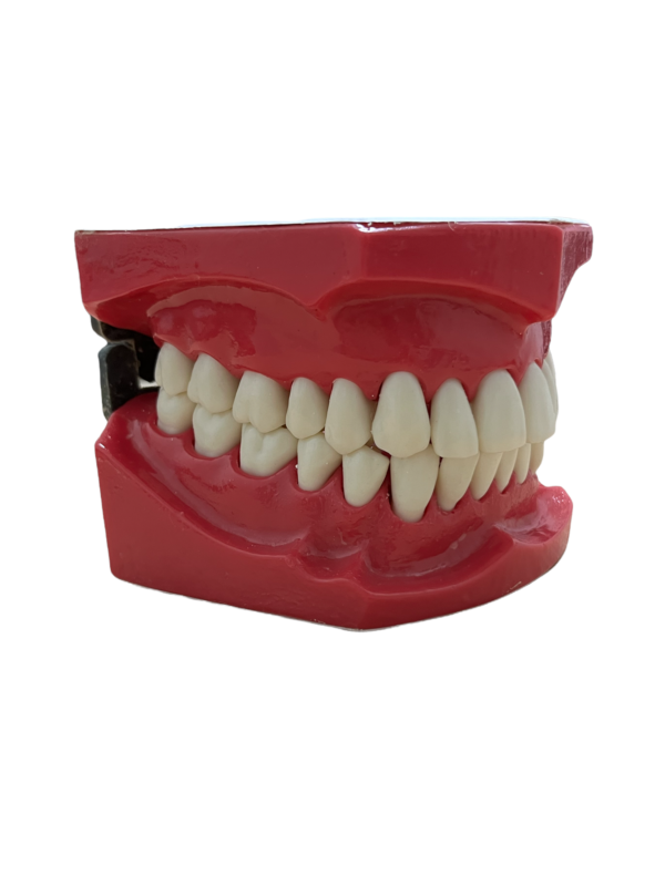 MACROMODELO CON PIEZAS DESMONTABLES - Imagen 3