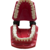 MACROMODELO CON PIEZAS DESMONTABLES - Imagen 4
