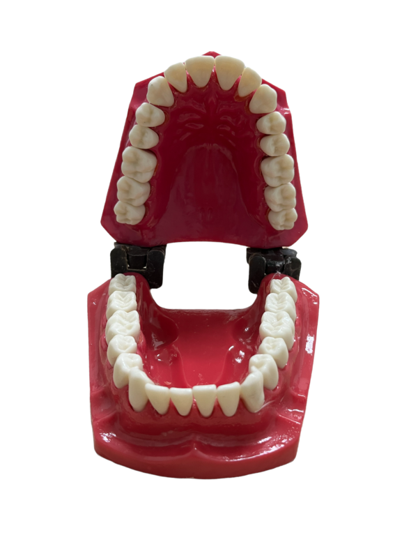 MACROMODELO CON PIEZAS DESMONTABLES - Imagen 4