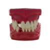 MACROMODELO CON PIEZAS DESMONTABLES - Imagen 2