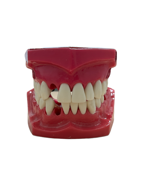 MACROMODELO CON PIEZAS DESMONTABLES - Imagen 2