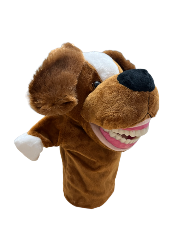 MUÑECO MACROMODELO PARA ODONTOPEDIATRIA